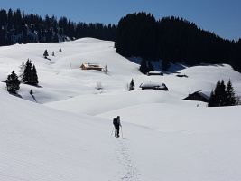 Moosbergalm
