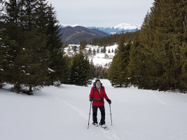 ehemalige Schipiste