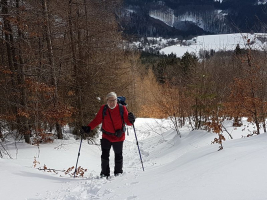 Bild 0