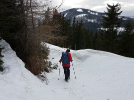 viel Schnee