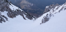 Ausschwingen