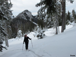 Stieglmauer