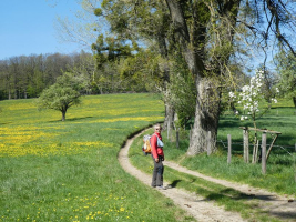 Hummelberg