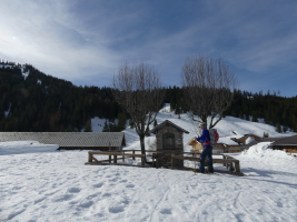 Bild 2
