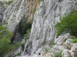 Zuna5a