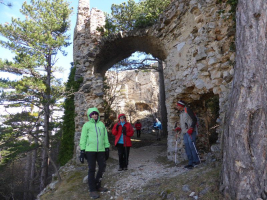 Ruine Emmerberg