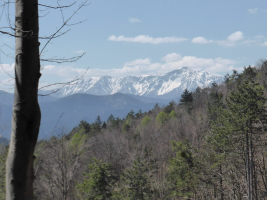 Schneebergblick