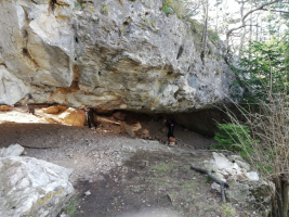 Bild1