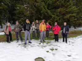 Bild1