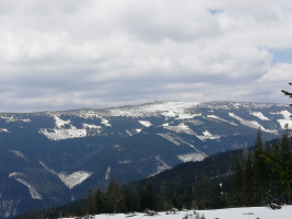 Bild2