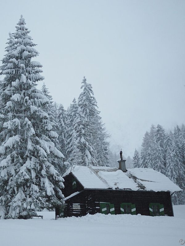 Goferhütte im Dezember 2018