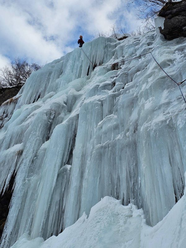 signal-2026-02-14-173831_015