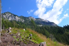 Lugauer