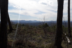 20190407_144413