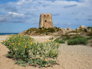 15.11.2023 Bildervortrag Sardinien