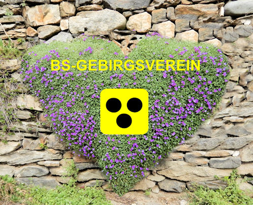 Das Logo der Wandergruppe BS-Gebirgsverein (Alpenverein Gebirgsverein)
