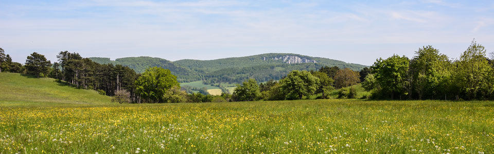 peilstein_10