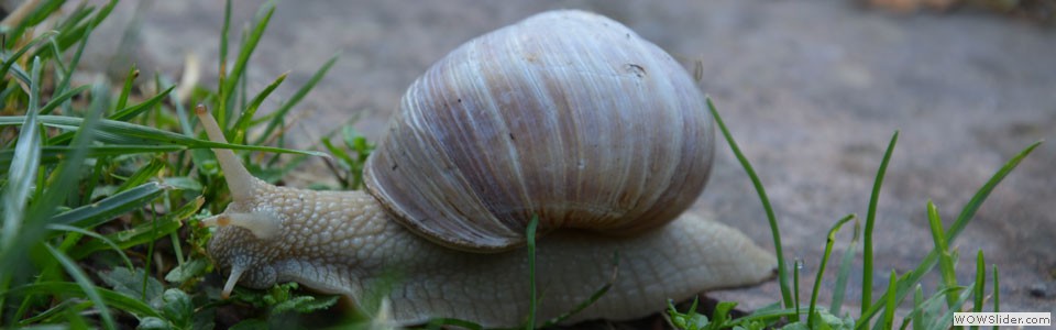 peilstein_13