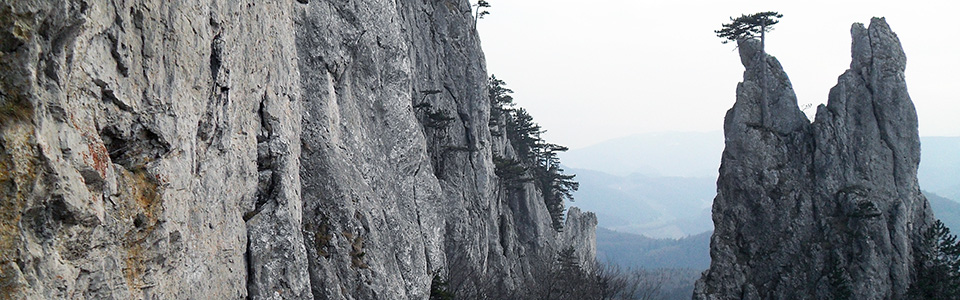 peilstein_16