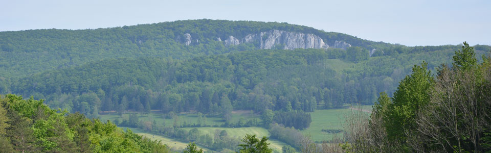peilstein_22