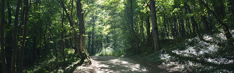 peilstein_4
